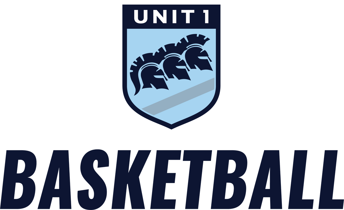 Unit 1 Basketball Dominator Hoodie (Youth)